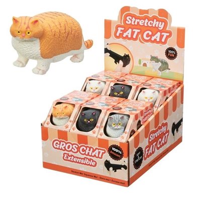 Assortiment gros chat stretch / 12