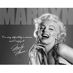 M. Monroe Defenitively Metal Sign