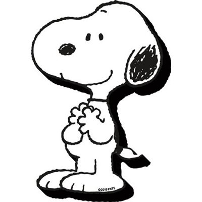 Funky chunky SNOOPY magnet