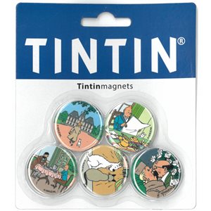 5 Aimants - Tintin