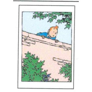Carte de souhaits Tintin sur le mur