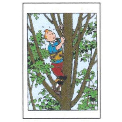 Greeting card Tintin in the tree